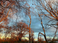 О погоде в Шахтах и приметах воскресного дня