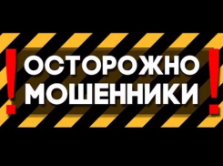Как не стать жертвой страховых мошенников? 