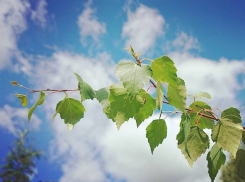  «А я ясные дни оставляю себе»: погода в Шахтах