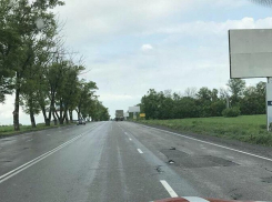 Шахтинцы возмущены вырубкой деревьев на въезде в город