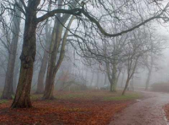 С тумана, дождя и сильного ветра началось утро нового дня в Шахтах