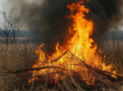 В Ростовской области с 6 апреля начнётся пожароопасный сезон