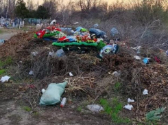 Кладбище в посёлке Аюта в Шахтах утопает в кучах мусора