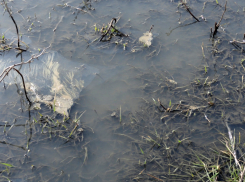 Шахтинский водоканал не возместил причинение вреда почвам при сбросах сточных вод