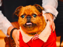 Гость без комплексов: когда чувствуешь себя как дома больше, чем хозяин