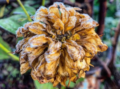 Шахтинцев ждёт аномальная зима? Погода сегодня, завтра и... немного вперёд 