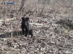 С каждым днем становится теплее и солнечнее: во вторник без осадков, но ветрено