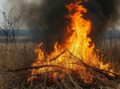 Более 34 гектаров сухой растительности планируют выжечь в Шахтах