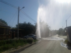 Жители Поповки пожаловались шахтинским властям на амброзию и «закладки»