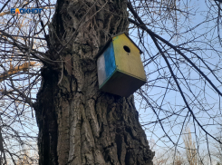 Заморозков пока не предвидится, будет солнечно и без осадков