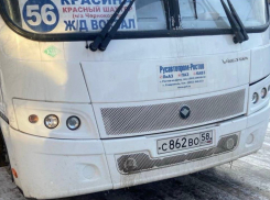 Хамское отношение водителя маршрутки № 56 к пожилой женщине в Шахтах