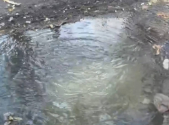 Канализационная авария на улице Садовая в Шахтах беспокоит жителей