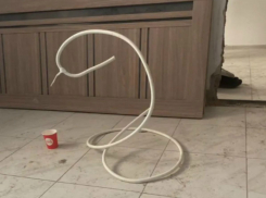 Фигуру из шланга продают за 30 тысяч рублей в Шахтах