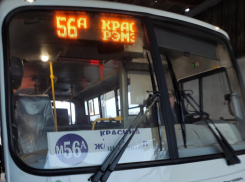 В автобусах приостановлена оплата посредством Google Pay и Apple Pay