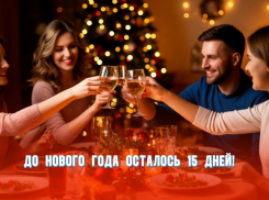 До Нового года осталось 15 дней
