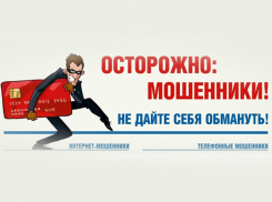 Мошенники придумывают новые схемы выуживания денег у законопослушных граждан