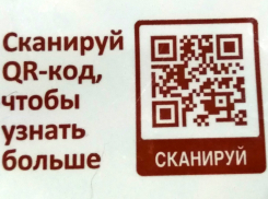 Мошенники придумали новую схему обмана с помощью QR-кодов
