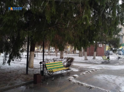 К вечеру потеплеет и заморосит дождь