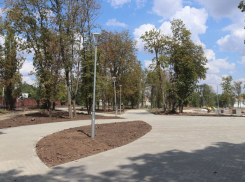 Скоро в Александровском парке появится газон и высадят деревья 