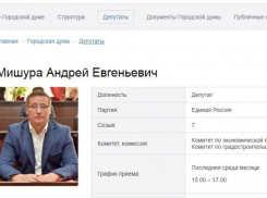 Бывшего члена Думы города Шахты Андрея Мишуру признали виновным в хищении средств