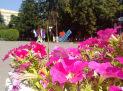 В Шахтах стартовала акция «216 добрых дел»