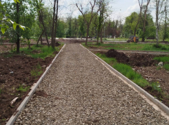 Продолжается реконструкция Александровского парка в Шахтах