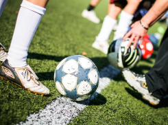 Спортивные секции должны быть бесплатными