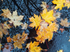 «В любом отражении - осень»: погода в Шахтах и лунный календарь 