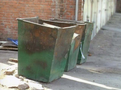 Мертвый младенец найден в мусорных баках в Шахтах