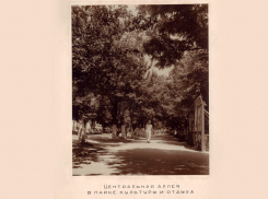 Первыми деревцами в городском Саду были яблони и вишни, а вход  стоил от 5 до 10 копеек