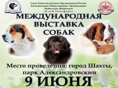 В Шахтах пройдут сразу две выставки собак