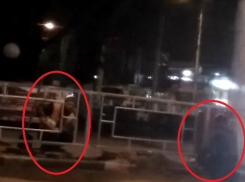 Под покровом ночи устанавливали ограды в центре Шахт