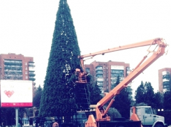 На площади Ленина в Шахтах появилась новогодняя елка