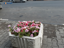 Солнечным и малооблачным обещает быть этот четверг в Шахтах