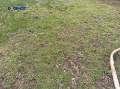 Участки выделили, а про коммуникации забыли