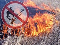 Шахтинцам запретили разводить костры и въезжать на территории лесов