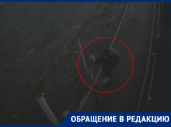 Прием Кунг-фу продемонстрировала жительница Шахт на чужом заборе