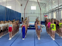 Первенство по спортивной гимнастике прошло в Шахтах 