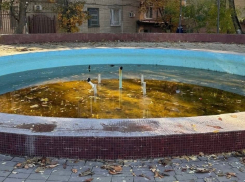 Шахтинцы выразили недовольство состоянием городского фонтана