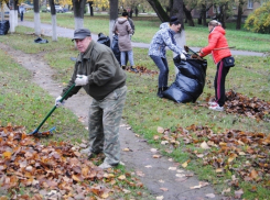 В Шахтах стартует месячник чистоты