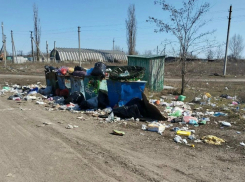 Территория городского кладбища в Шахтах утопает в мусоре