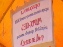 Сельскохозяйственная ярмарка в г.Шахты в разгаре