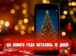 До Нового года осталось 12 дней 