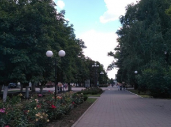 Петицию против застройки Александровского парка разместили жители Шахт
