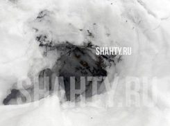 Жительница Шахт провалилась в открытый люк, присыпанный снегом