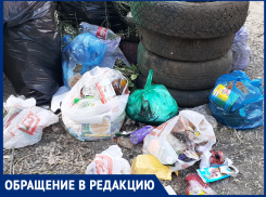 Собранный школьниками мусор шахтинцы пополняют своими бытовыми отходами