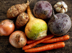 5 штрафов и изъятие 600 килограммов плодоовощной продукции: очередной контроль качества провели в Роспотребнадзоре