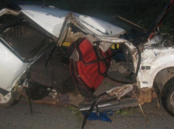 В Шахтах ночью 8 марта «девятка» врезалась в дерево - двое погибли