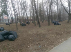 Весенняя уборка осенних листьев в Шахтах