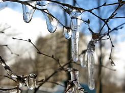 Пятница в Шахтах будет сухой и немного морозной 
